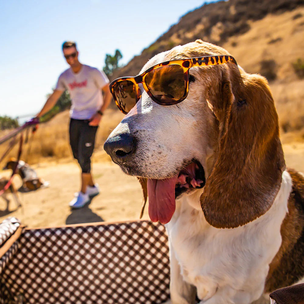 Goodr Bosley's Basset Hound Dreams Sunglasses Goodr